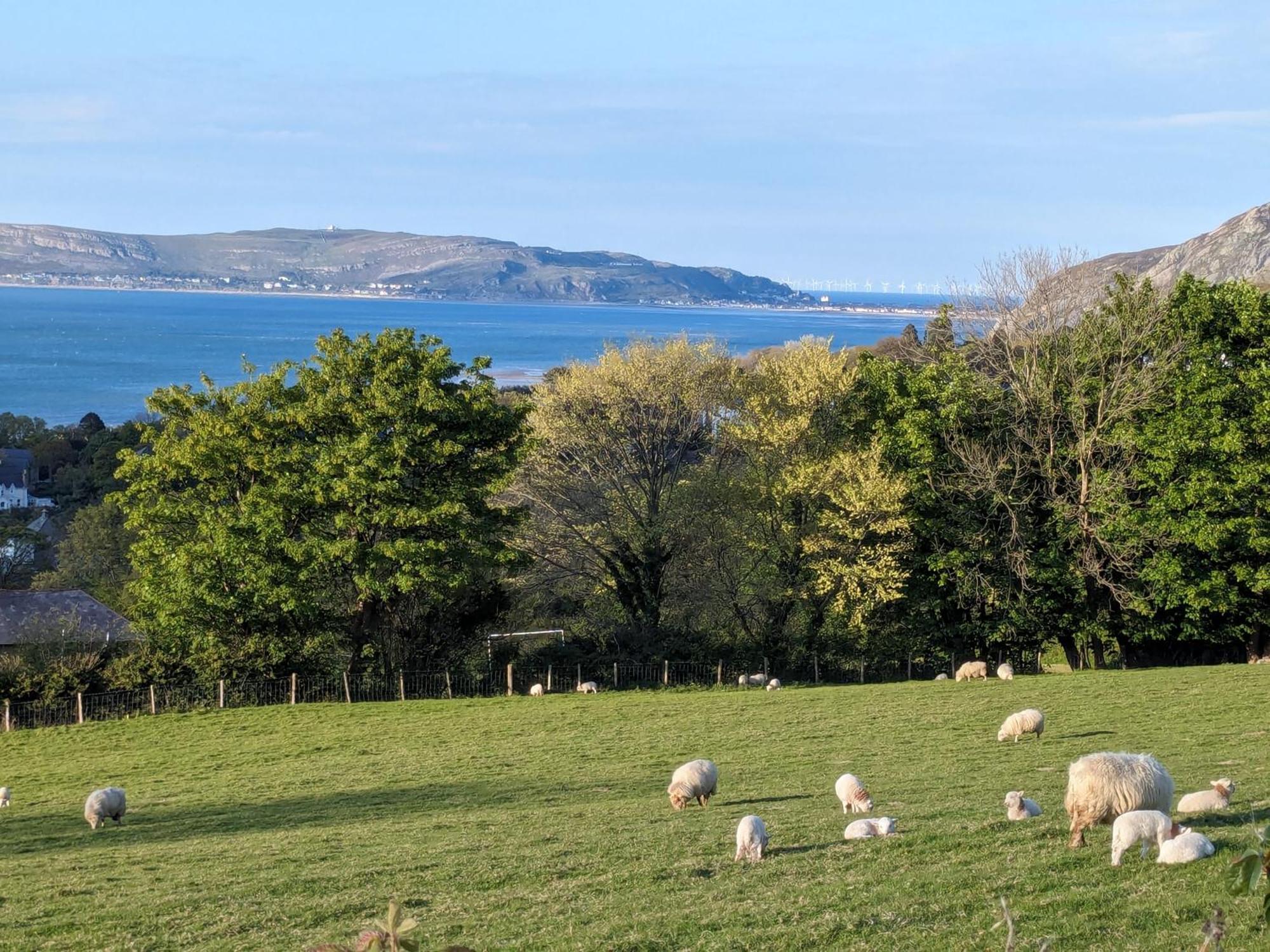 Fantastic Sea Views At Century'S Old Alma'S Cottage - Sleeps Up To 8 Guests Penmaenmawr Экстерьер фото